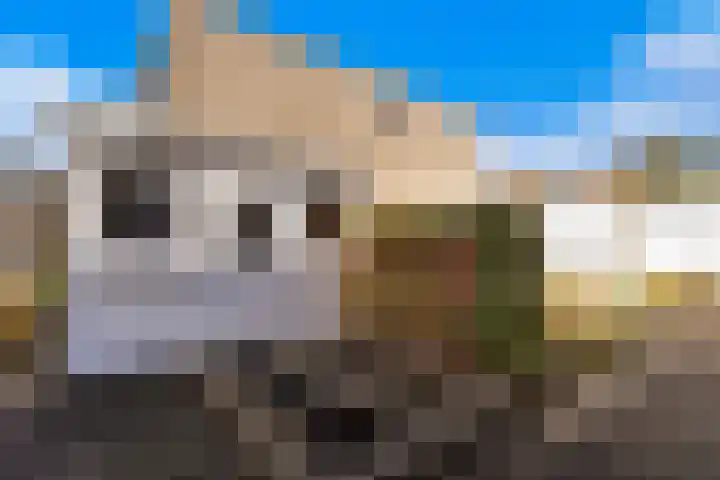 Belcantodreef 77 Krimpen aan den IJssel thumbnail 16