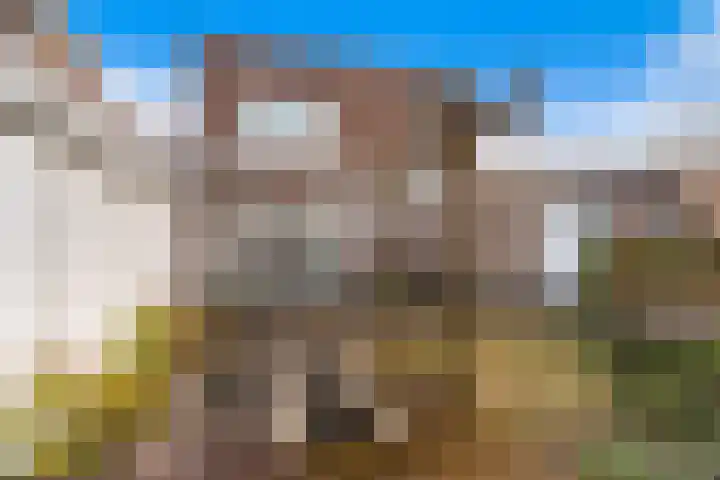 Belcantodreef 77 Krimpen aan den IJssel thumbnail 17