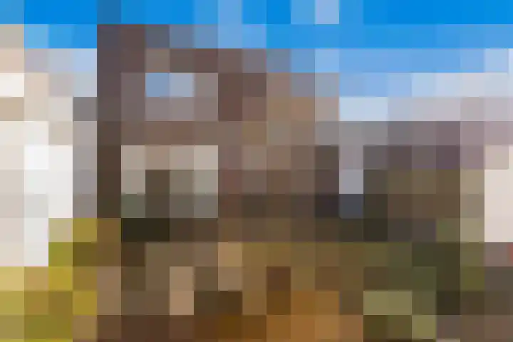 Belcantodreef 77 Krimpen aan den IJssel thumbnail 18