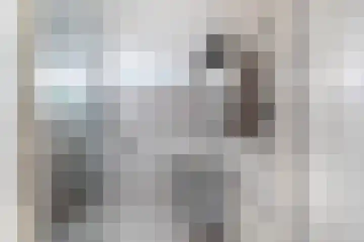 Belcantodreef 77 Krimpen aan den IJssel thumbnail 33