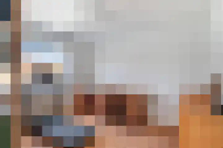 Belcantodreef 77 Krimpen aan den IJssel thumbnail 38