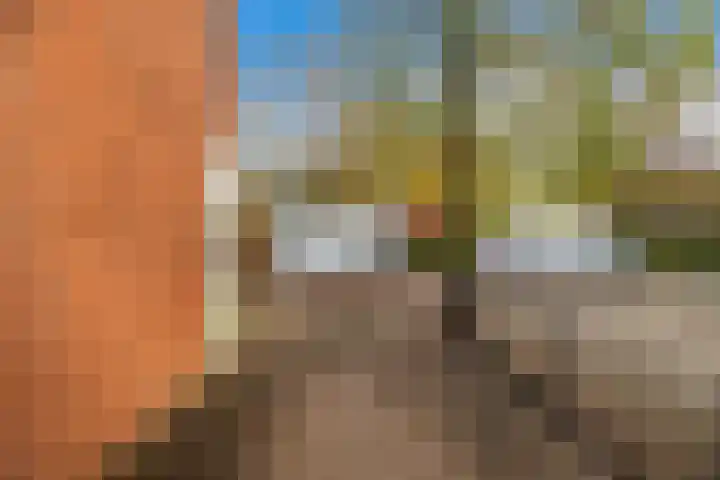 Belcantodreef 77 Krimpen aan den IJssel thumbnail 43