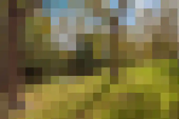 Belcantodreef 77 Krimpen aan den IJssel thumbnail 46