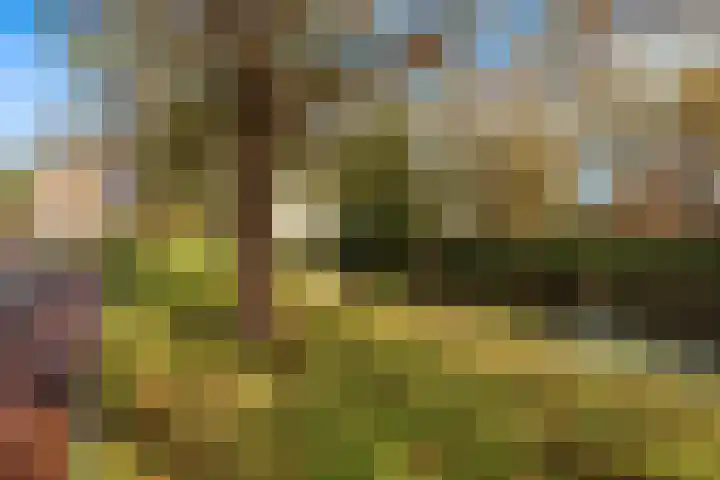 Belcantodreef 77 Krimpen aan den IJssel thumbnail 47