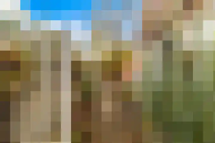 Belcantodreef 77 Krimpen aan den IJssel thumbnail 8
