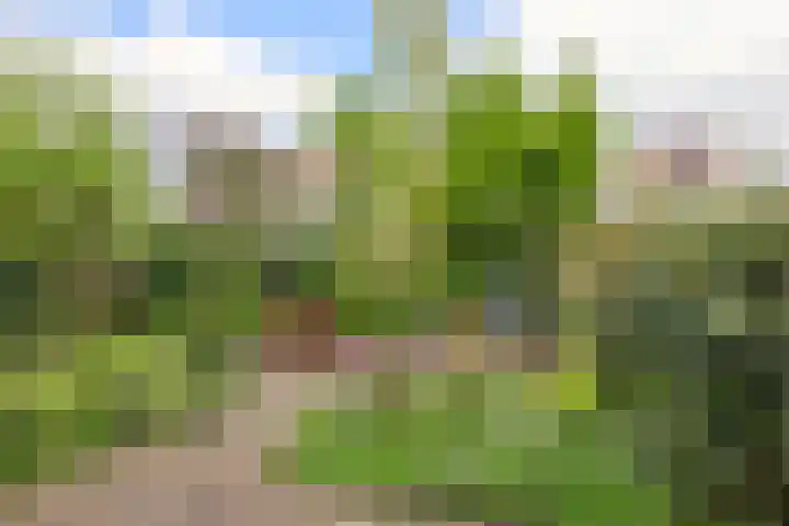 Belcantodreef 9 Krimpen aan den IJssel thumbnail 29