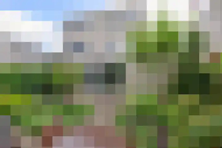 Belcantodreef 9 Krimpen aan den IJssel thumbnail 30