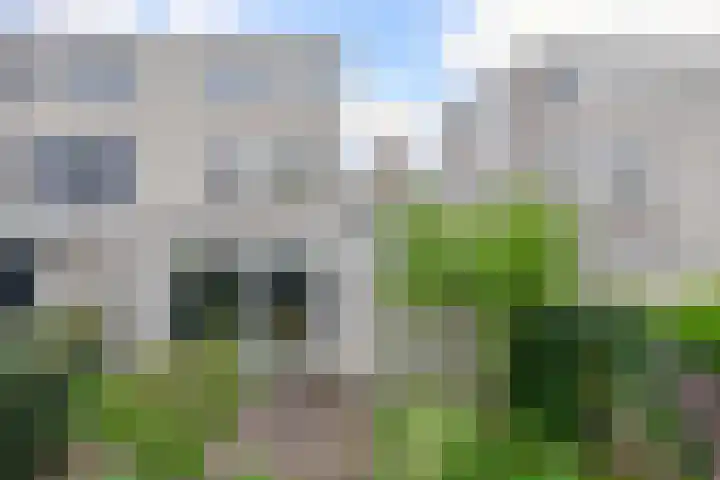 Belcantodreef 9 Krimpen aan den IJssel thumbnail 31