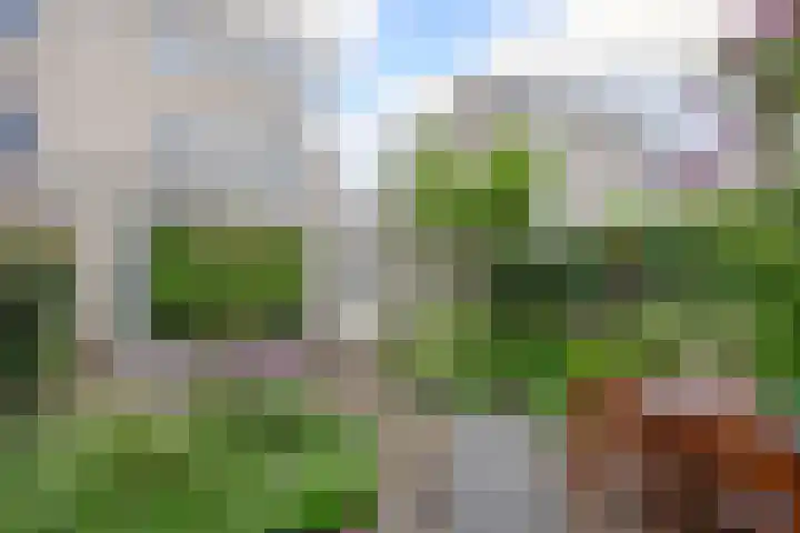 Belcantodreef 9 Krimpen aan den IJssel thumbnail 32