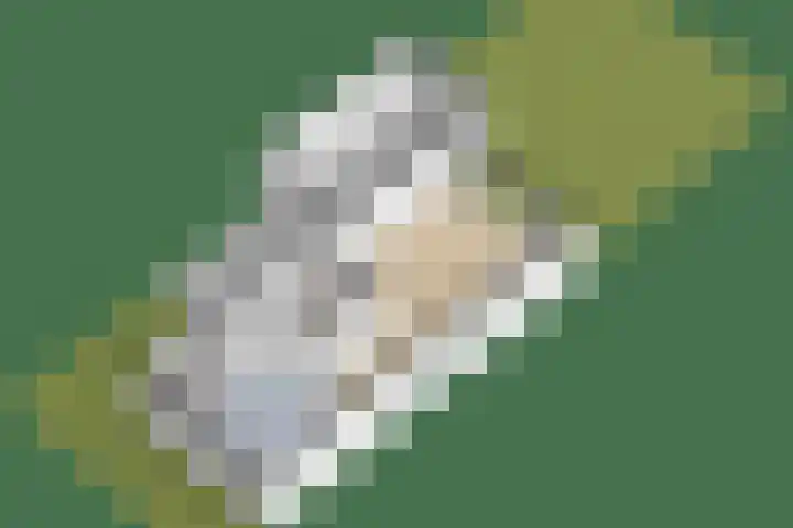 Belcantodreef 9 Krimpen aan den IJssel thumbnail 35