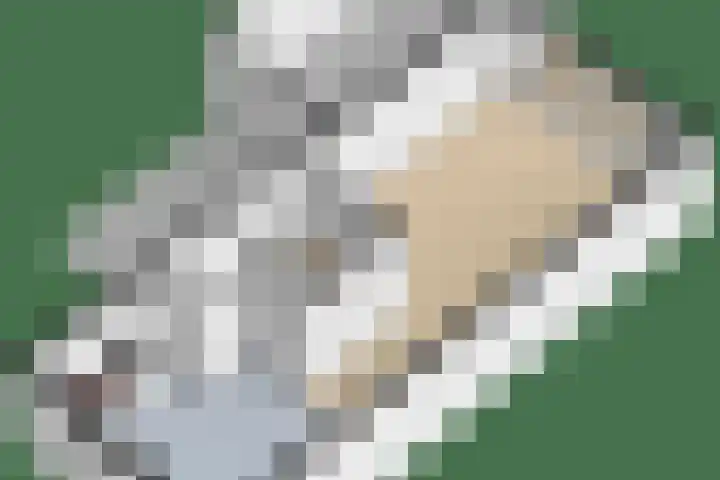 Belcantodreef 9 Krimpen aan den IJssel thumbnail 37