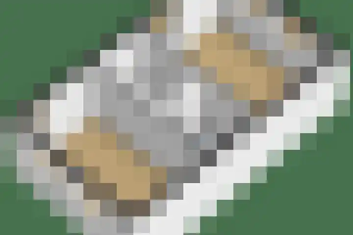 Belcantodreef 9 Krimpen aan den IJssel thumbnail 39
