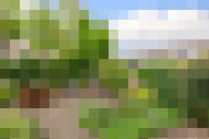 Belcantodreef 9 Krimpen aan den IJssel thumbnail 4