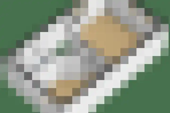 Belcantodreef 9 Krimpen aan den IJssel thumbnail 41