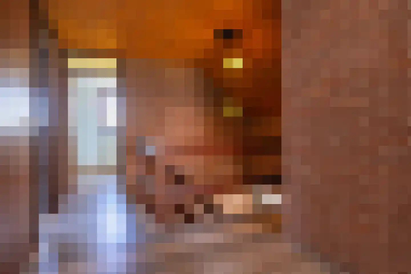 Beldersweg 5 Andijk thumbnail 29