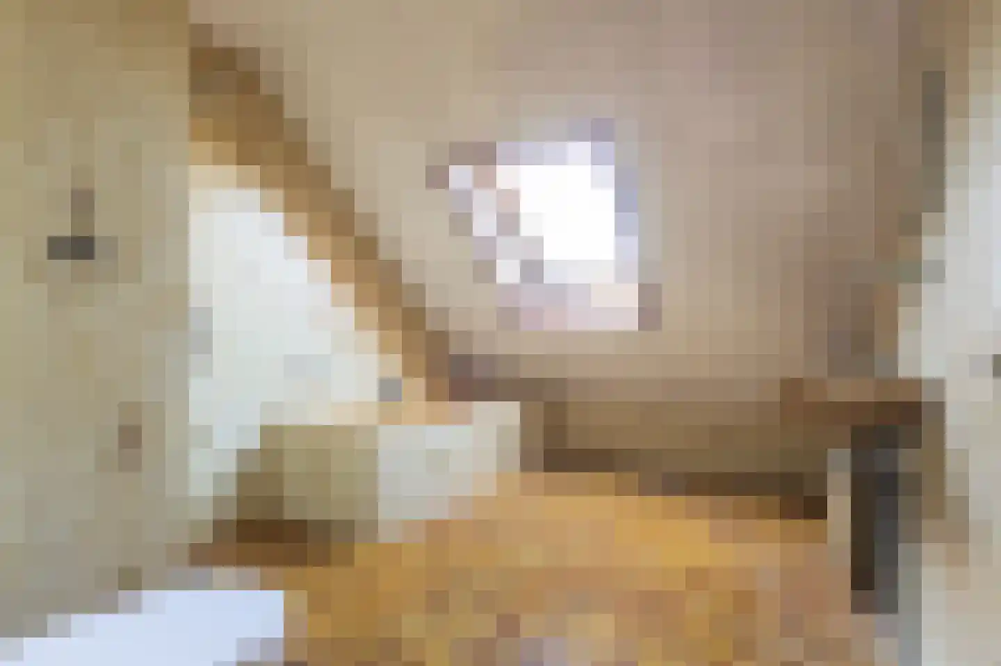 Beldersweg 5 Andijk thumbnail 42