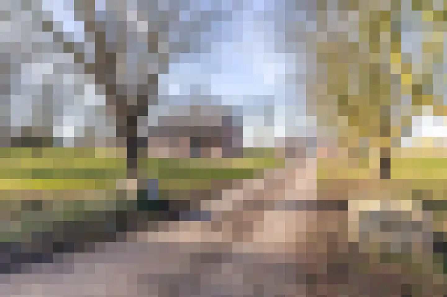 Beldersweg 5 Andijk thumbnail 5