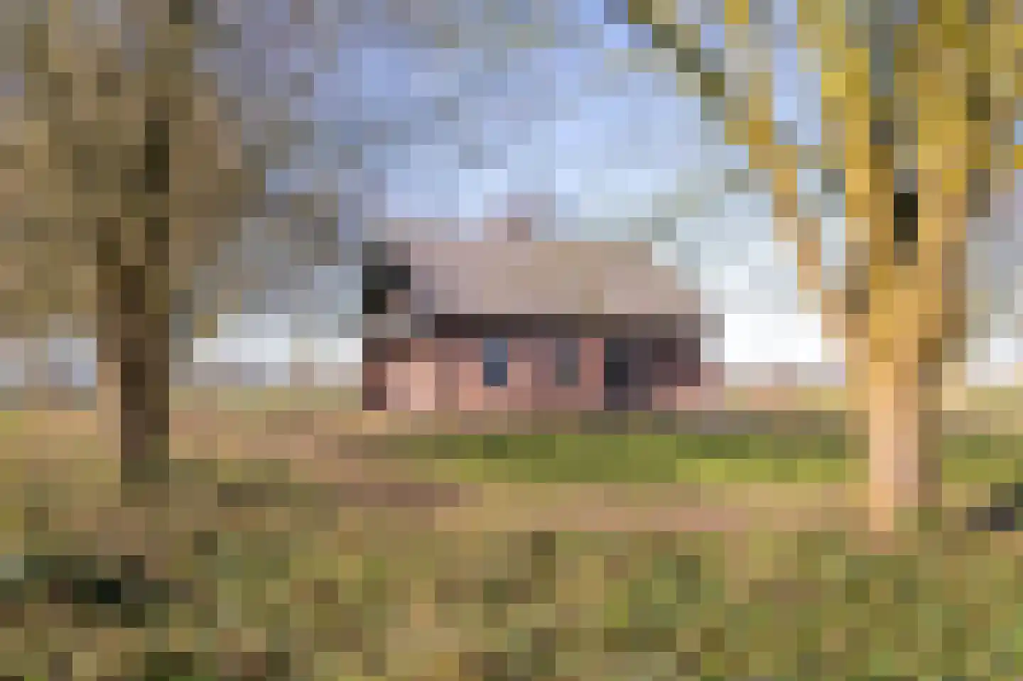Beldersweg 5 Andijk thumbnail 9