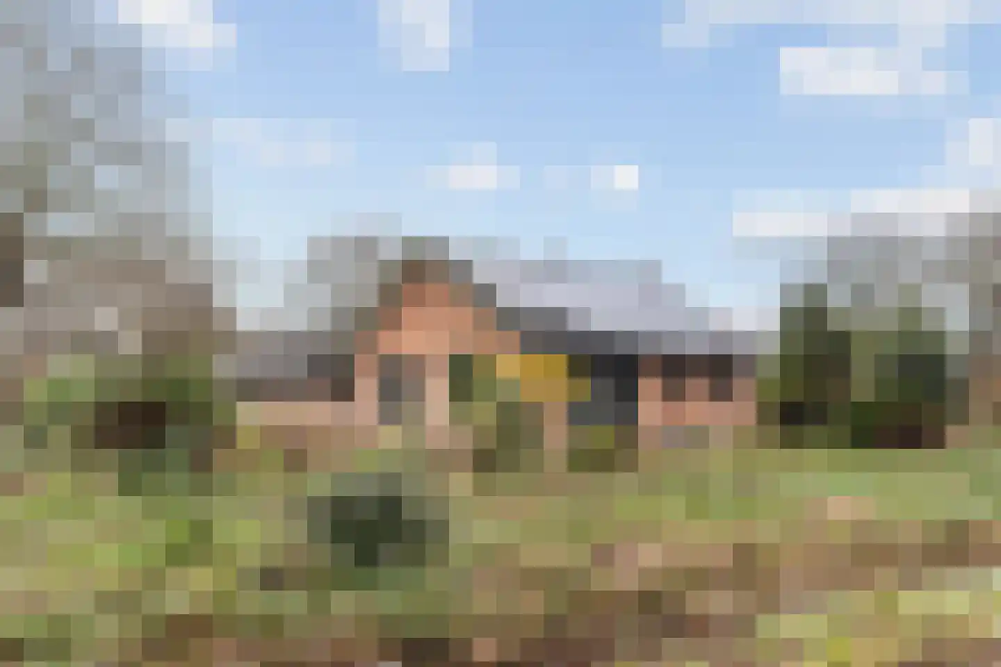 Beldmansweg 1 Lemelerveld