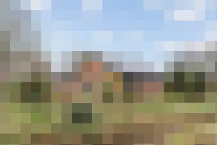 Beldmansweg 1 Lemelerveld