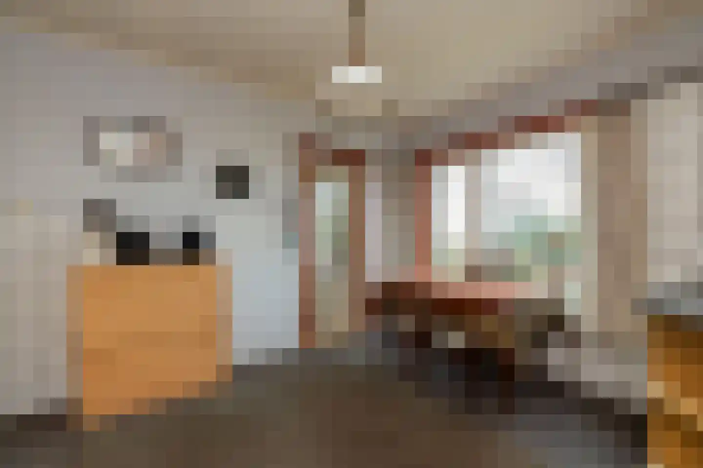 Beldmansweg 1 Lemelerveld thumbnail 12