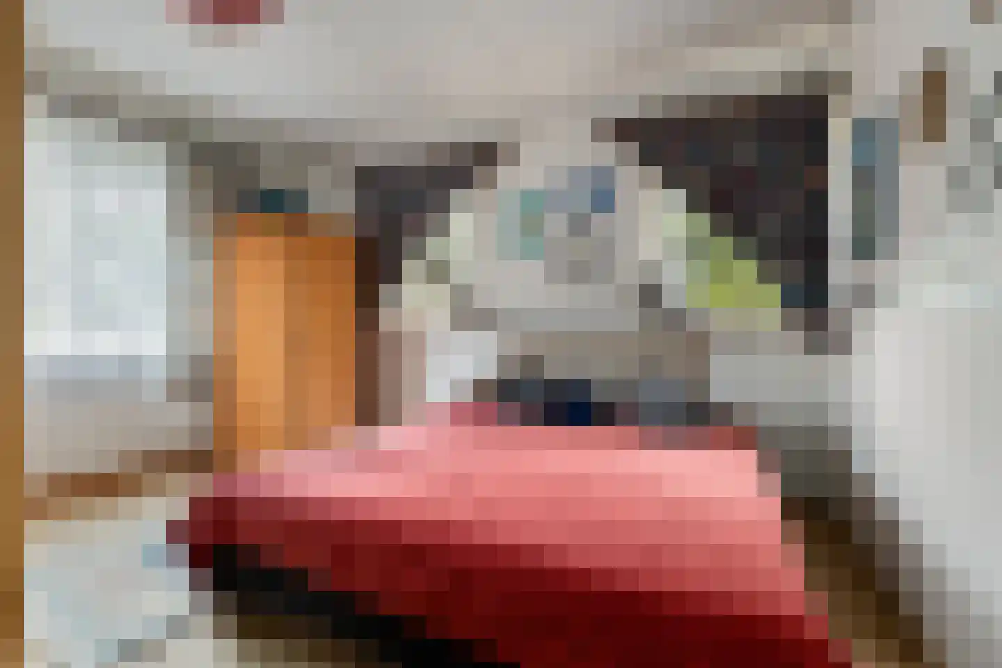 Beldmansweg 1 Lemelerveld thumbnail 15