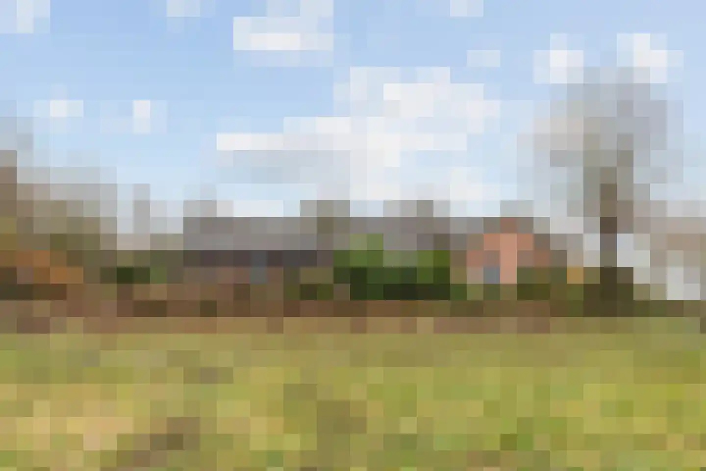 Beldmansweg 1 Lemelerveld foto 2