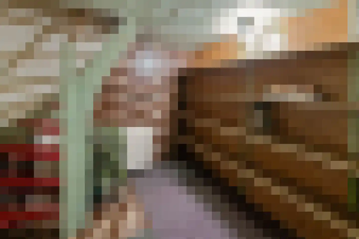 Beldmansweg 1 Lemelerveld thumbnail 20