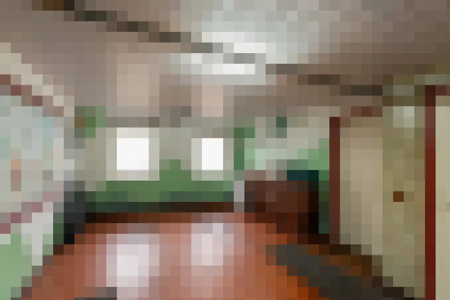 Beldmansweg 1 Lemelerveld thumbnail 23