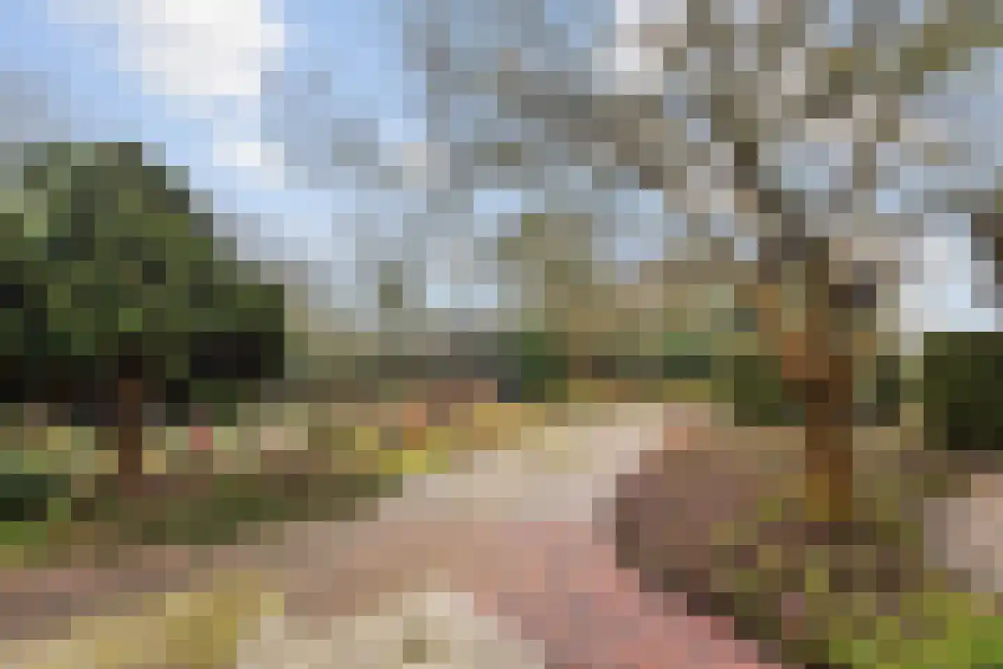 Beldmansweg 1 Lemelerveld thumbnail 26