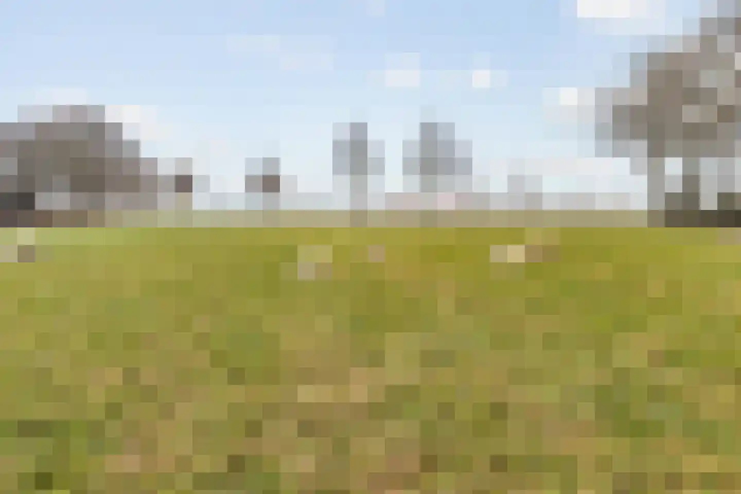 Beldmansweg 1 Lemelerveld foto 3