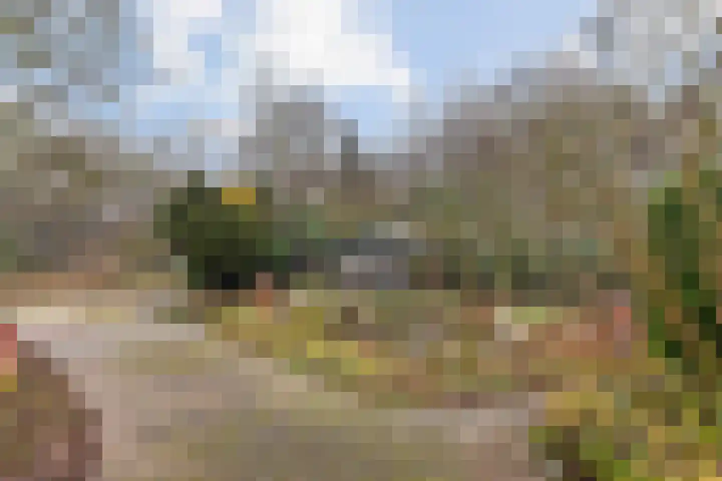 Beldmansweg 1 Lemelerveld thumbnail 4