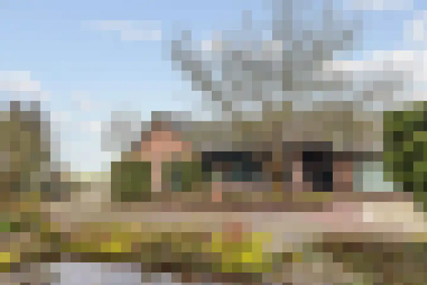 Beldmansweg 1 Lemelerveld thumbnail 5