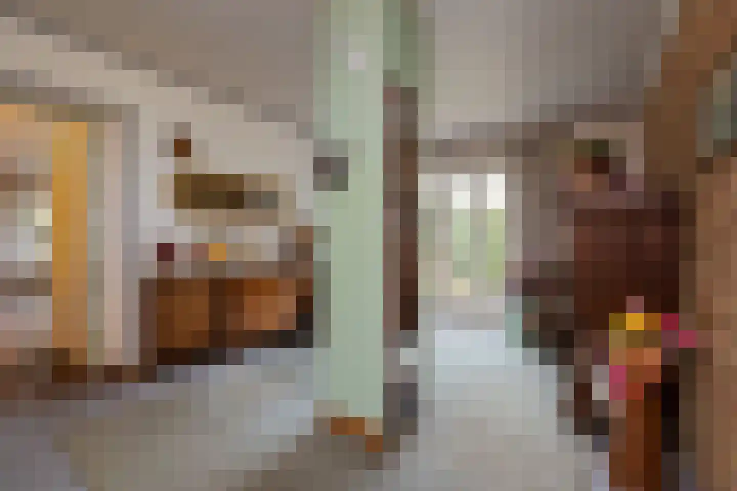 Beldmansweg 1 Lemelerveld thumbnail 7