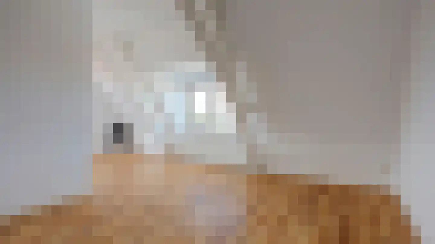 Beldsteeg 3 Almelo thumbnail 23