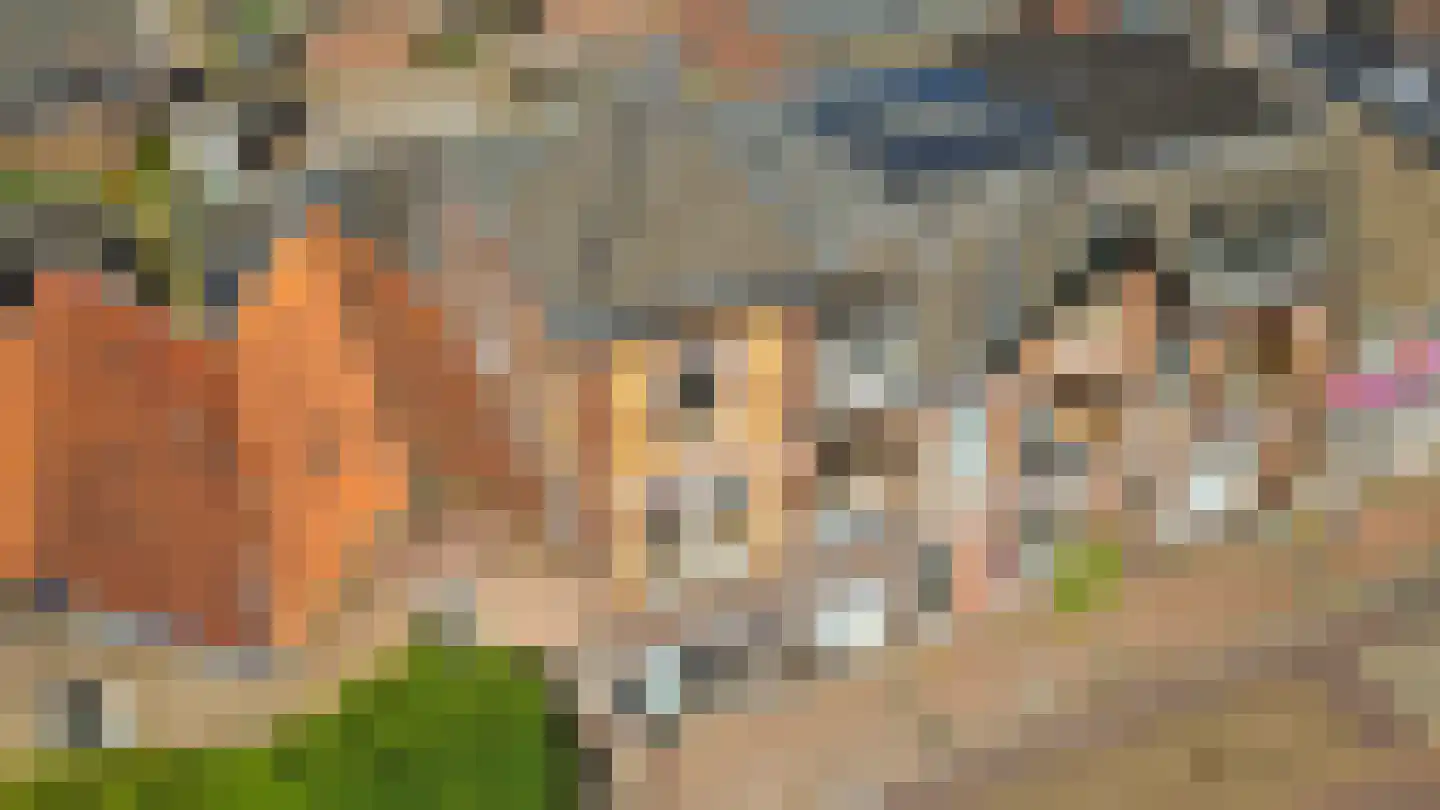 Beldsteeg 3 Almelo thumbnail 39
