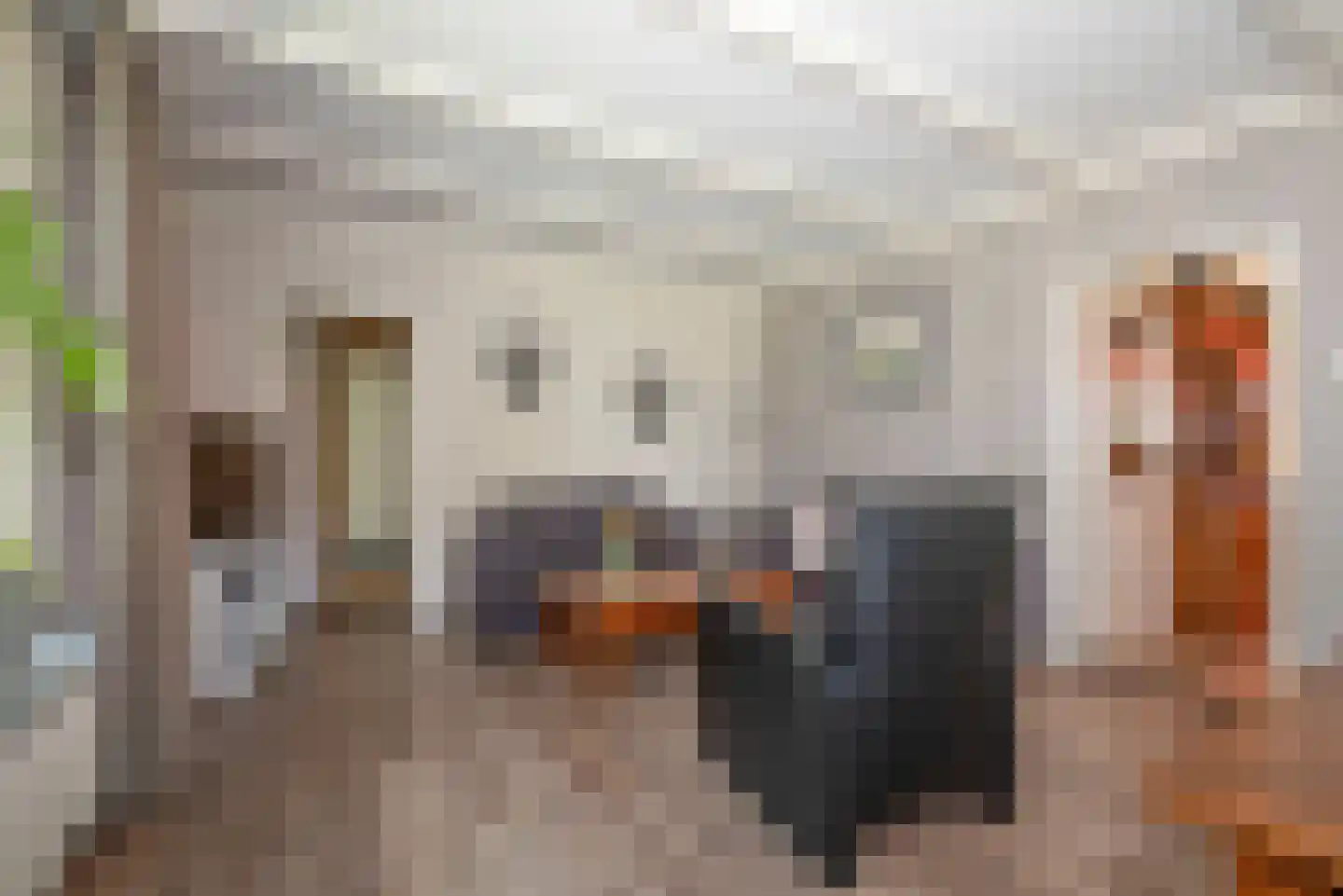 Beldsweg 23 Ambt Delden thumbnail 10