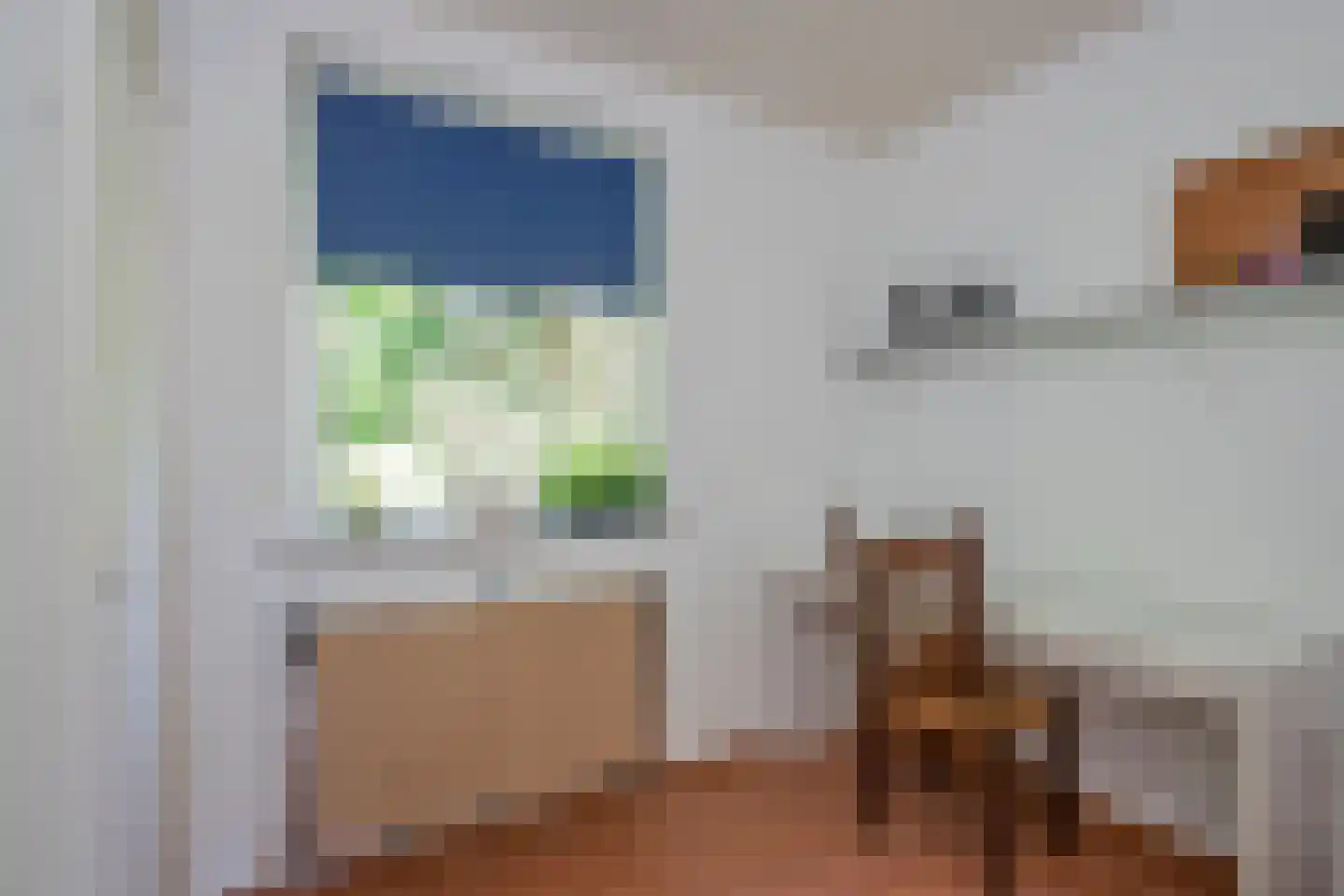 Beldsweg 23 Ambt Delden thumbnail 12