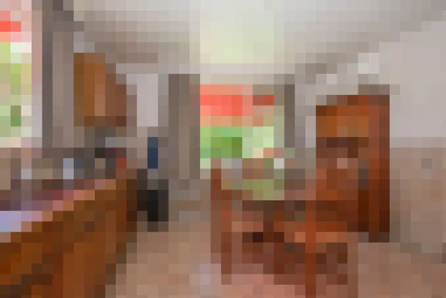 Beldsweg 23 Ambt Delden thumbnail 13