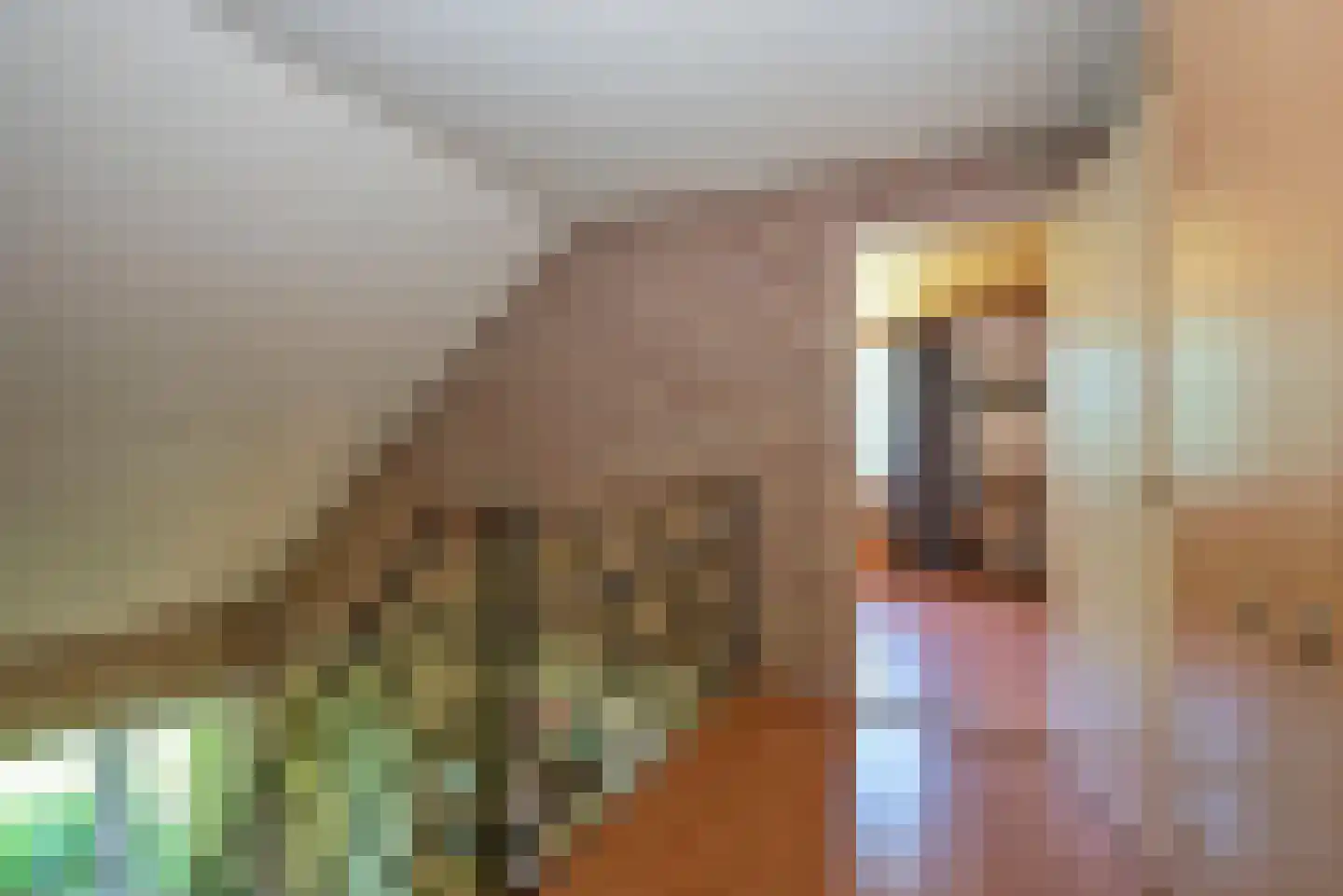 Beldsweg 23 Ambt Delden thumbnail 15