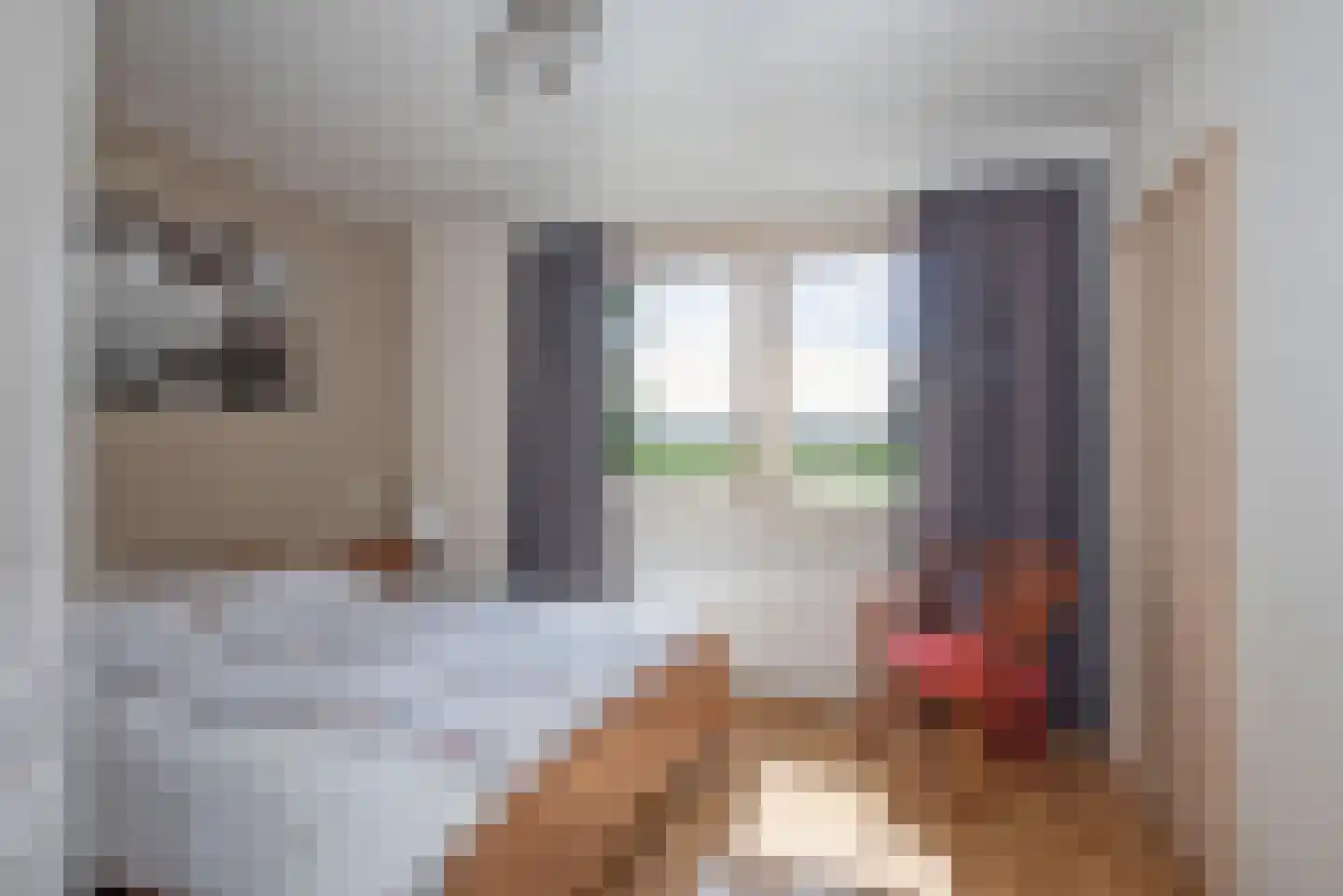 Beldsweg 23 Ambt Delden thumbnail 16