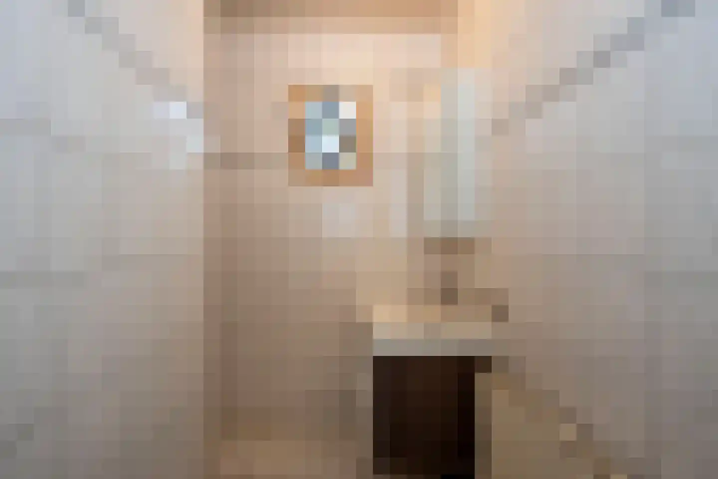 Beldsweg 23 Ambt Delden thumbnail 19