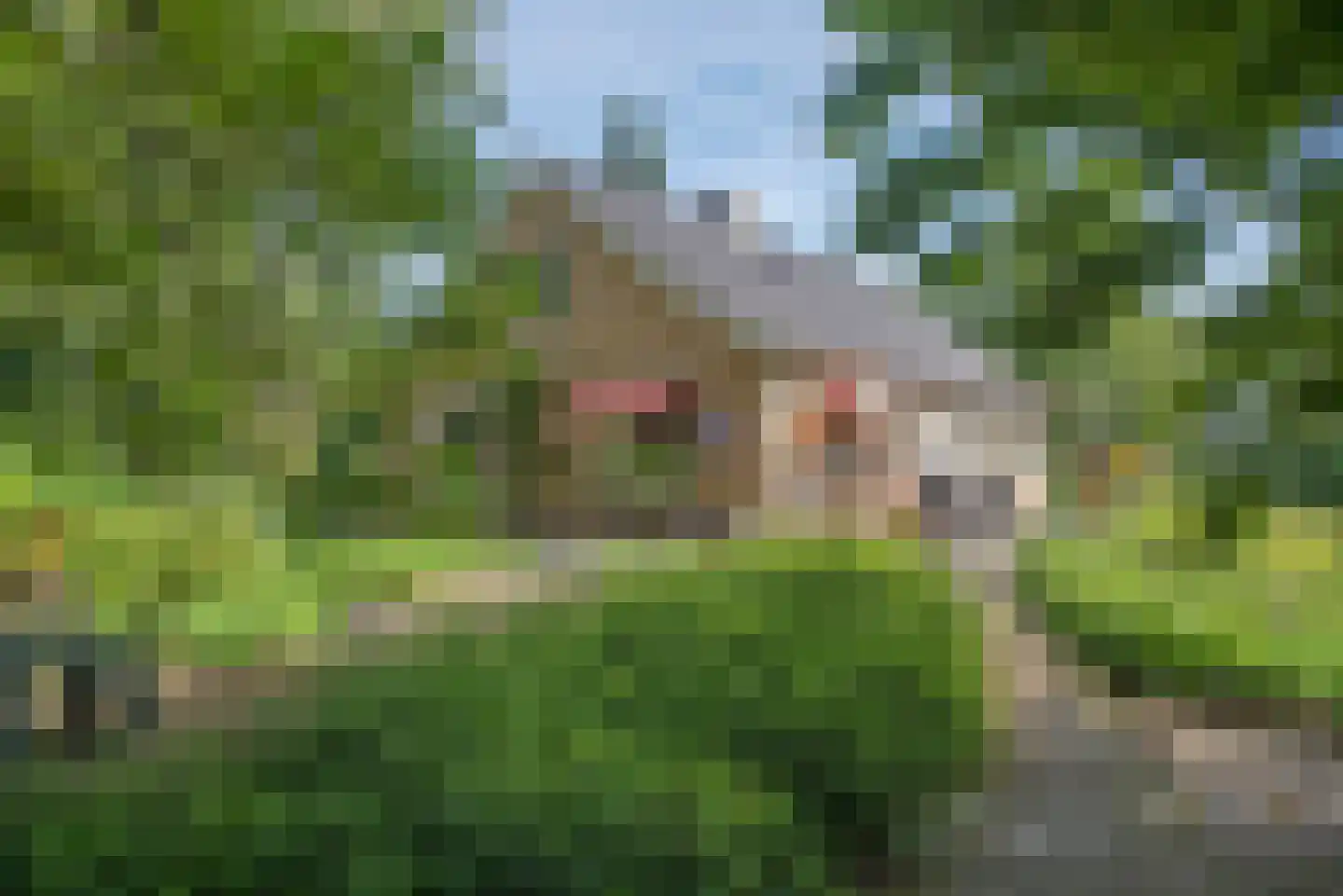 Beldsweg 23 Ambt Delden thumbnail 28