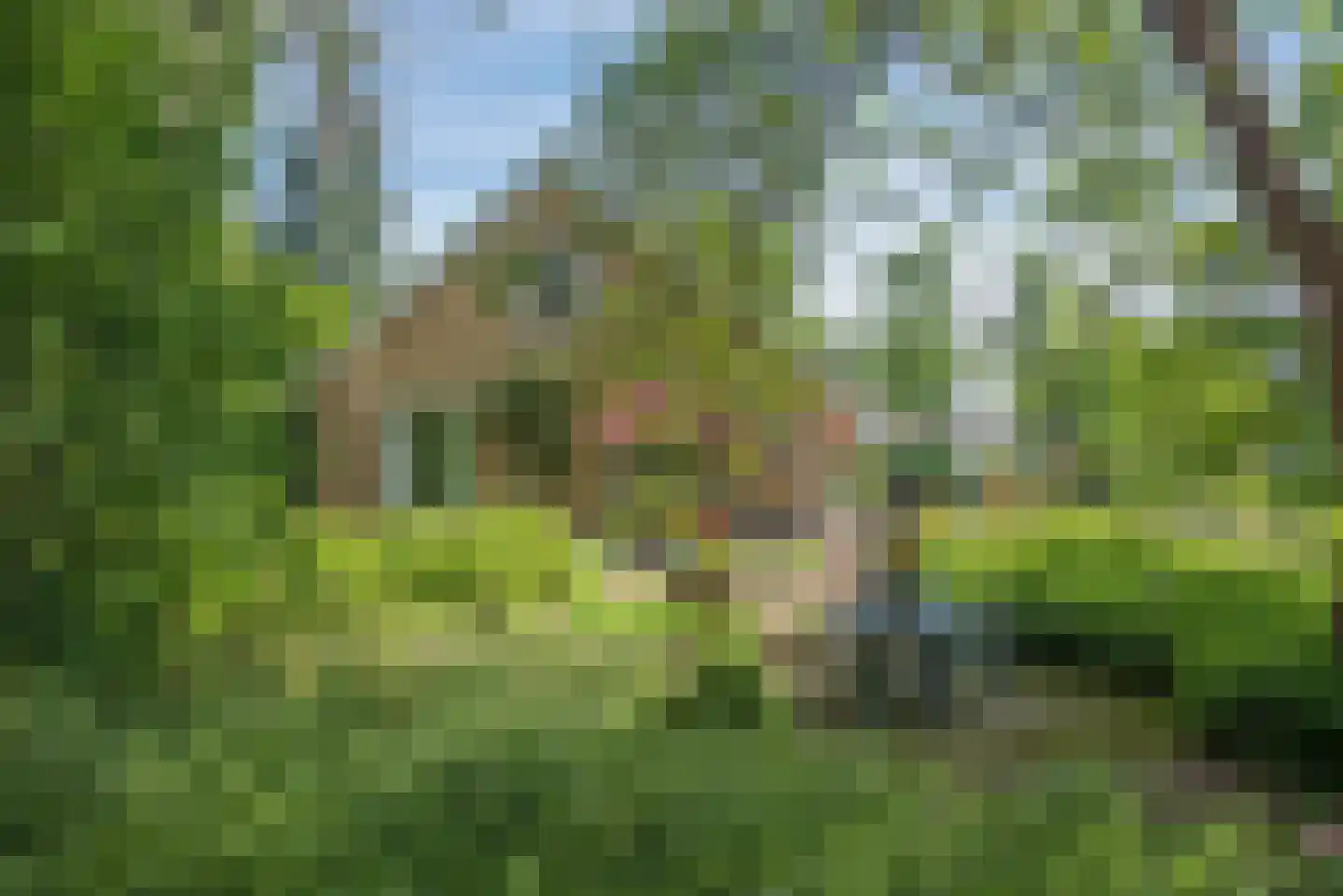 Beldsweg 23 Ambt Delden thumbnail 29