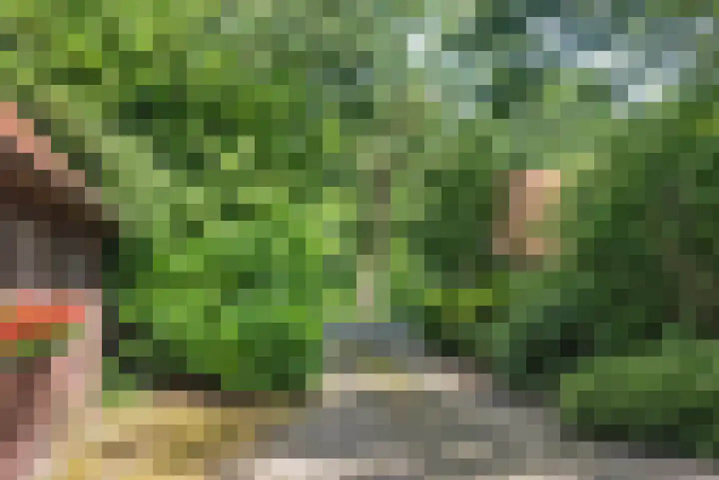 Beldsweg 23 Ambt Delden thumbnail 32