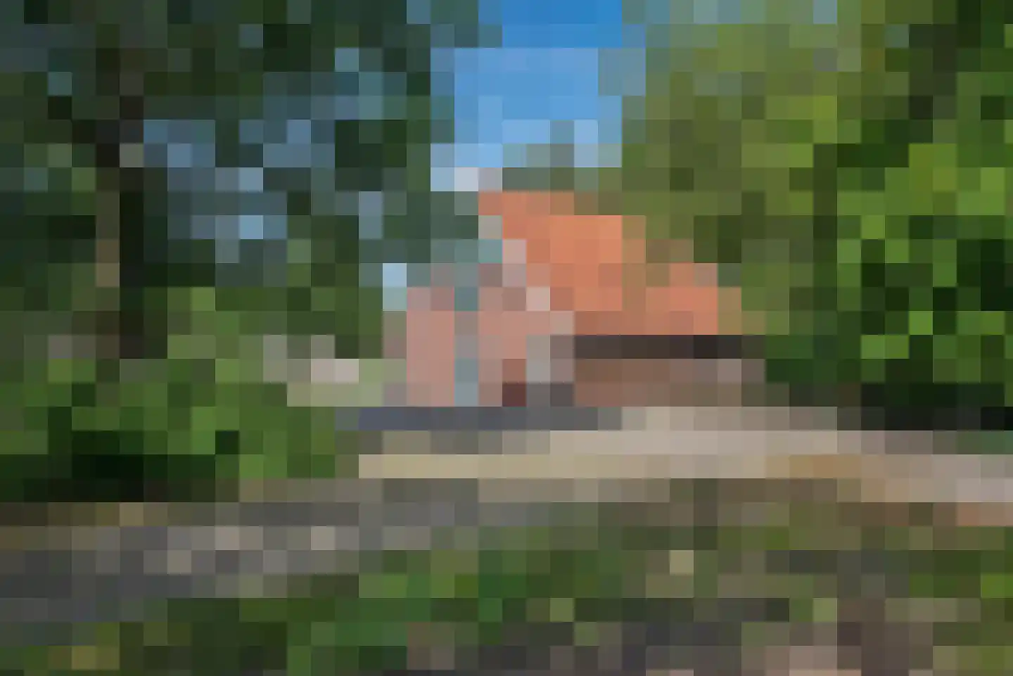 Beldsweg 23 Ambt Delden thumbnail 33