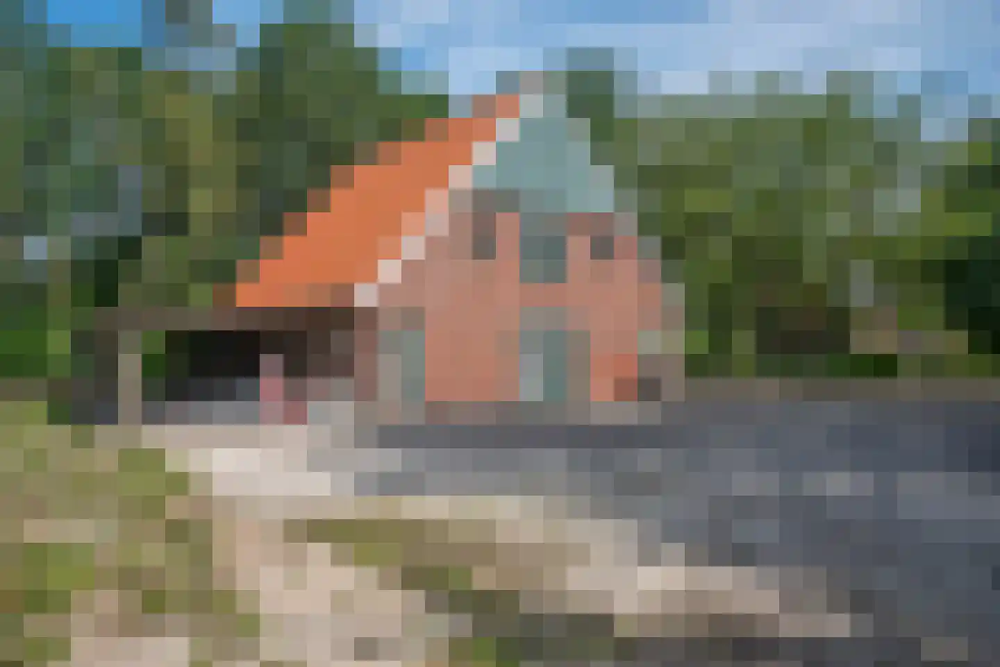 Beldsweg 23 Ambt Delden thumbnail 34