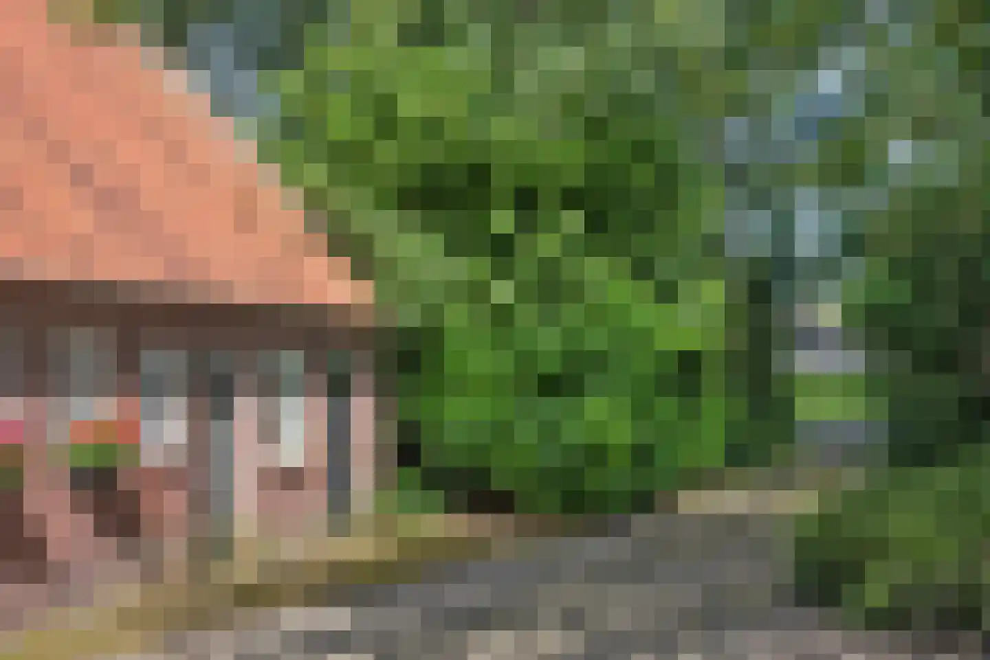Beldsweg 23 Ambt Delden thumbnail 36