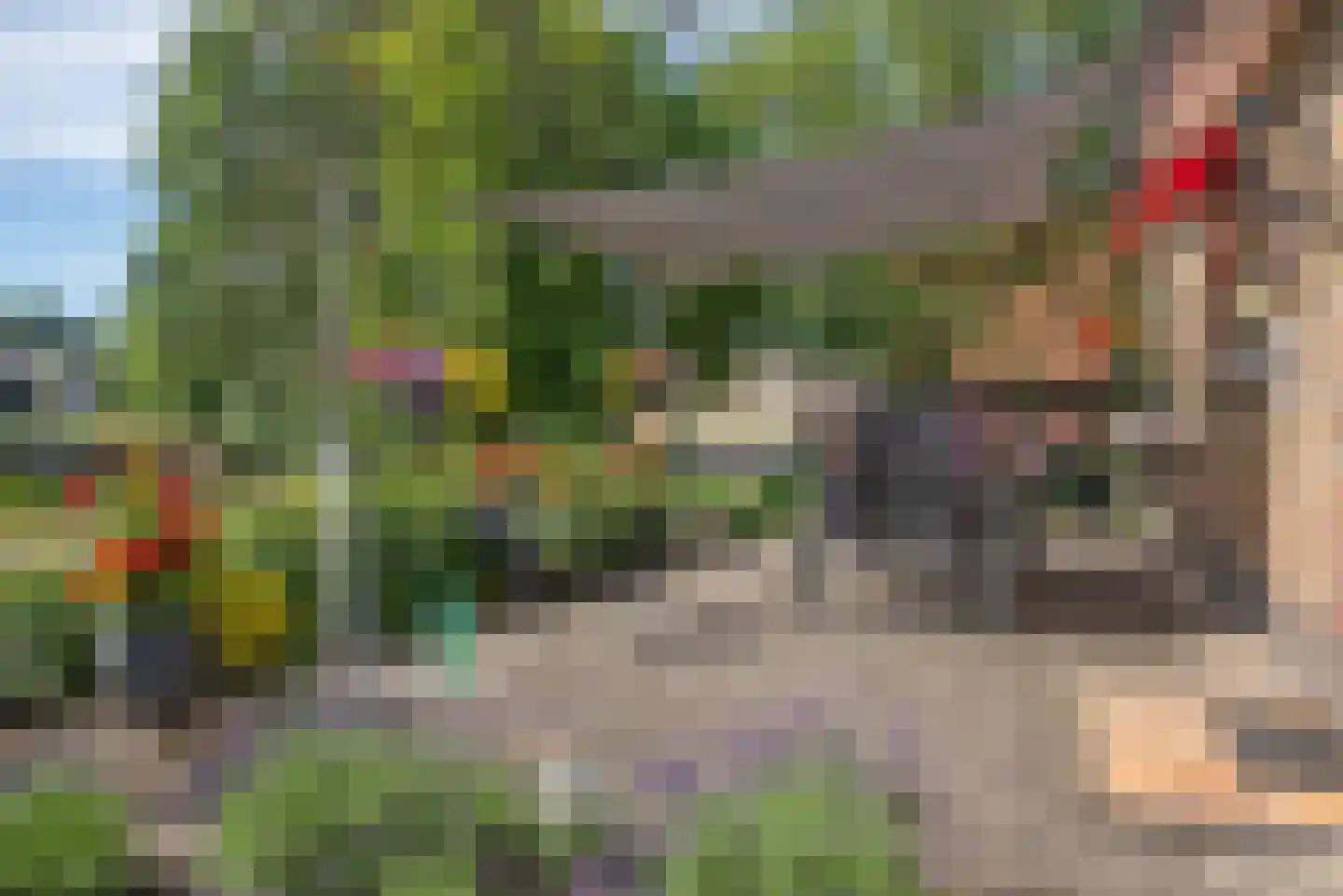 Beldsweg 23 Ambt Delden thumbnail 39