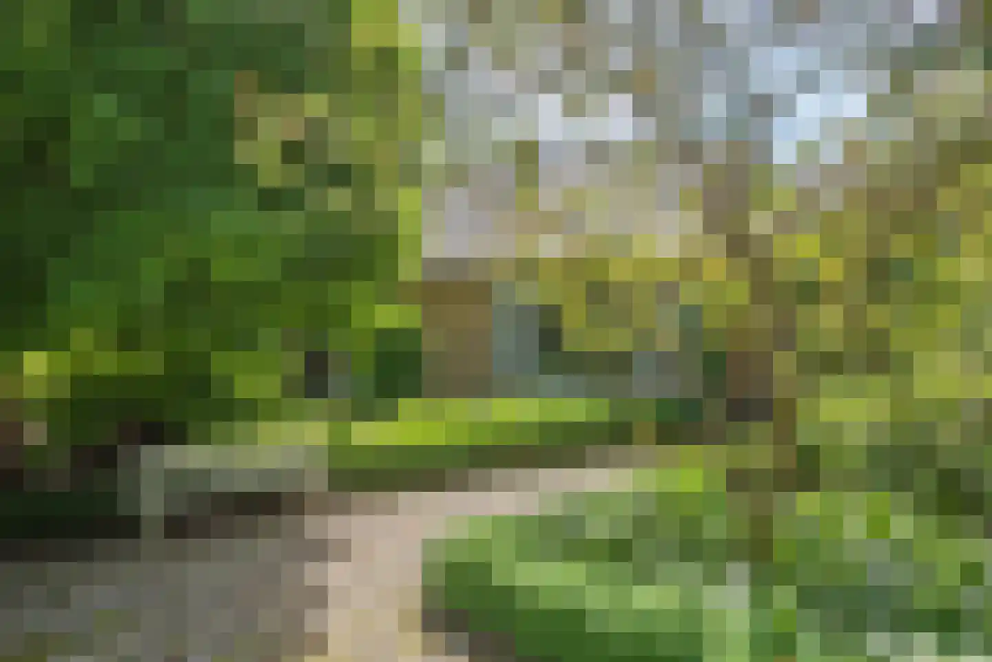 Beldsweg 23 Ambt Delden thumbnail 4